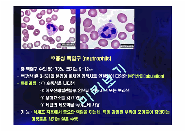 [의학,약학] 혈구관찰 및 혈액형 검사.ppt